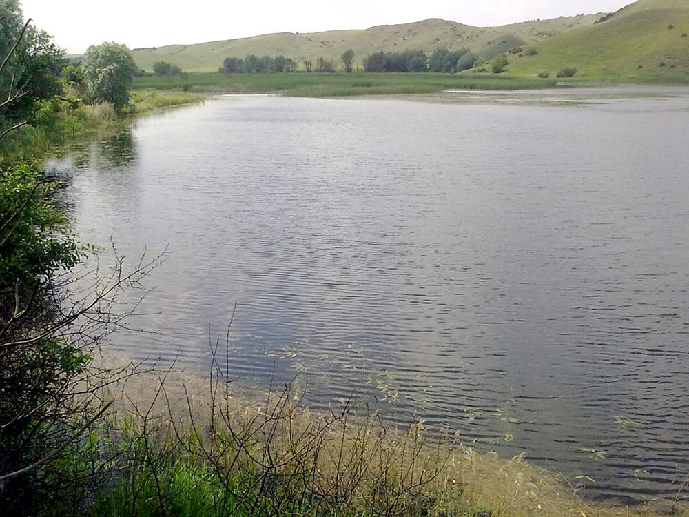 Луганчик